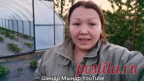 Люба ким ютуб Блог по вязанию для начинающих и опытных вязальщиц Ваш ресурс номер один для обучения вязанию спицами. Блог, посвященный бесплатным выкройкам, видео по вязанию, пряже и всему, что нужно для этого удивительного хобби.