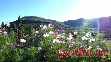 Достопримечательности Южной Африки: 10 мест, о которых мало знают туристы