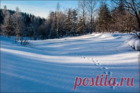 Сказка... Замок тает за снежным маревом,
Зарастает колючим инеем…
Проступают дороги старые,
Очищается небо синее…
И умолкнет метели музыка,
Снег мятущийся станет гладеньким…
А по снегу – следочки узкие
От дворца – до беседки в садике…