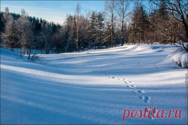 Сказка...  Замок тает за снежным маревом,
Зарастает колючим инеем…
Проступают дороги старые,
Очищается небо синее…

И умолкнет метели музыка,
Снег мятущийся станет гладеньким…
А по снегу – следочки узкие
От дворца – до беседки в садике…
