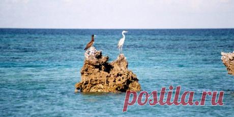 Океан  голубого пространства   рад гостям....