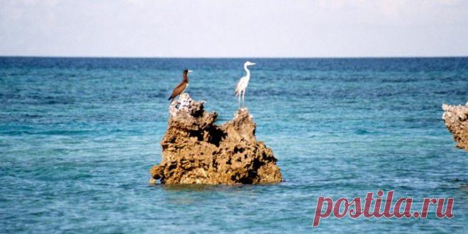 Океан  голубого пространства   рад гостям....