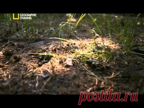Тайная могила Чингисхана (2011) - YouTube