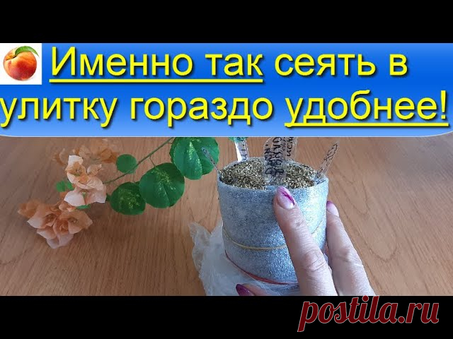 Именно так удобнее сеять в улитку семена на рассаду Способ посадки цветов, лука, перца Доброго дня!! Для тех кто сеет или планирует посеять семена на рассаду в улитку - показываю небольшое дополнение, лайфхак, и тогда сделать это будет удобнее для Вас и для растений! Все просто! Полностью про посадку в улитку самокрутку здесь: Успеха Вам с рассадой) Все, про выращивание...