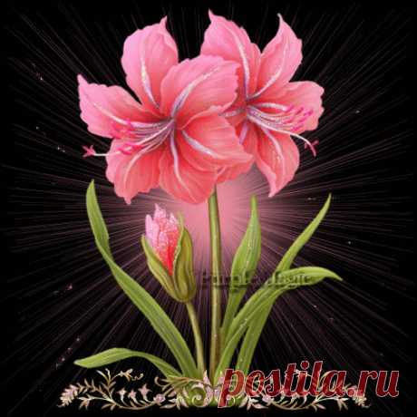 ♪✿♥ C ДНЁМ РОЖДЕНИЯ! ПОЗДРАВЛЯЮ!!! ♪✿♥