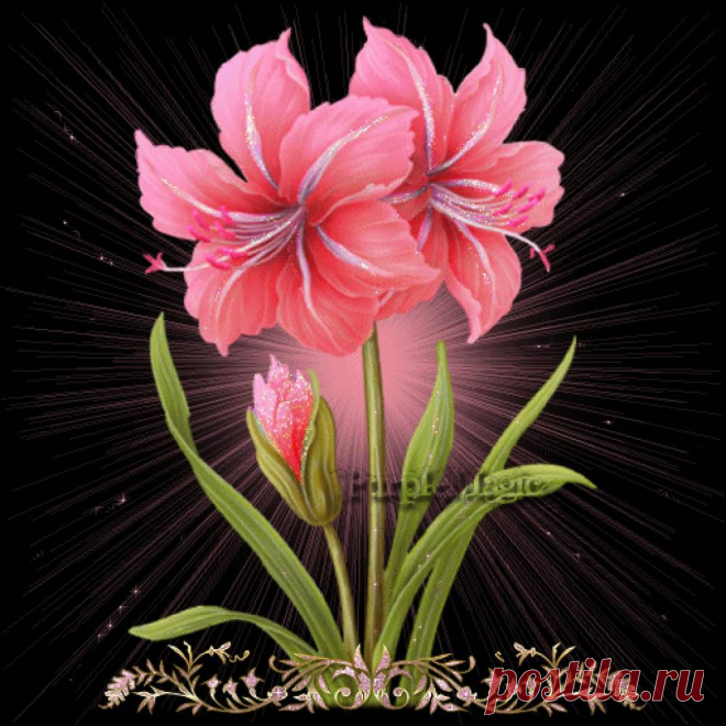 ♪✿♥ C ДНЁМ РОЖДЕНИЯ! ПОЗДРАВЛЯЮ!!! ♪✿♥
