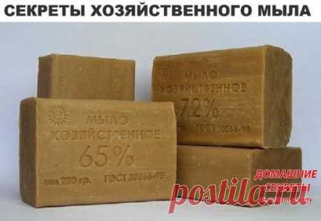 У Вас в квартире есть хозяйственное мыло? Если нет, то обязательно приобретите и пусть лежит на всякий случай! Я неоднократно слышала о его пользе. Один раз в детстве меня укусила соседская собака и бабушка прежде чем тащить меня в больницу промывала рану именно хозяйственным мылом. А еще однажды… Я кричал, вырывался, но бабуля старалась промыть рану как можно тщательнее. Кстати, в больнице нас за это похвалили и рекомендовали так делать всегда. Оказывается, что лучшим по ...