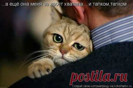 Папа пожалеет...