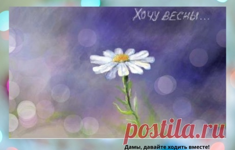 Марафон "Весенний". О питании человека с сахарным диабетом | Дамы, давайте худеть вместе | Яндекс Дзен