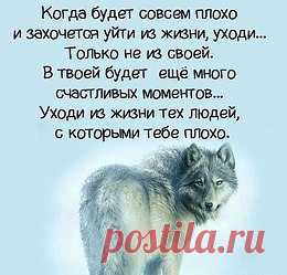 Всё о Любви и Дружбе.