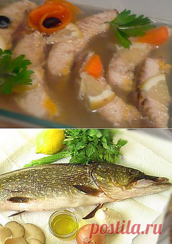 Готовим заливное из щуки - лучшие пошаговые рецепты