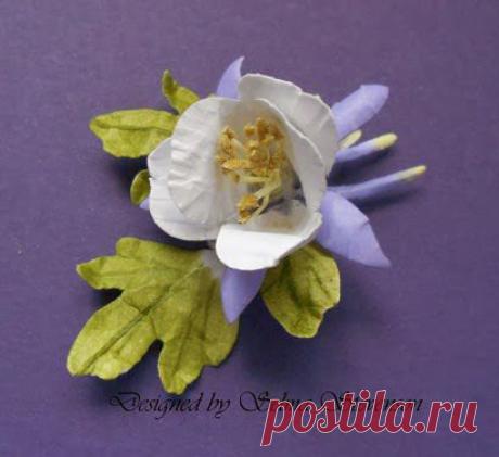 Selma's Stamping Corner and Floral Designs: Columbine Tutorial