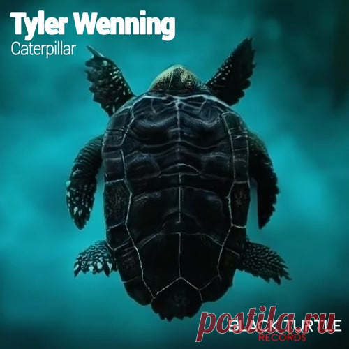 Tyler Wenning - Caterpillar [Black Turtle Records]