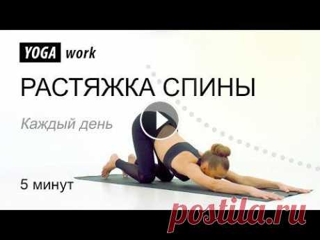Йога для растяжки спины Курс: Основы йоги всего за 690 р. https://yoga-work.ru/y/1cbf19a Персональные тренировки онлайн 1000 р. пишите на https://wa.me/79129494941 Урок 1 Пря...