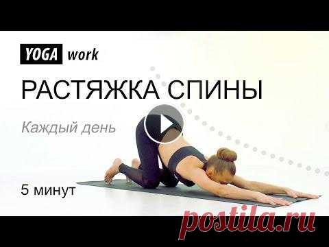Йога для растяжки спины Курс: Основы йоги всего за 690 р. https://yoga-work.ru/y/1cbf19a Персональные тренировки онлайн 1000 р. пишите на https://wa.me/79129494941 Урок 1 Пря...