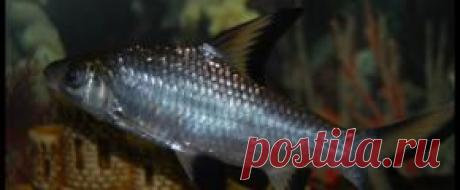 Мирный - Part 3