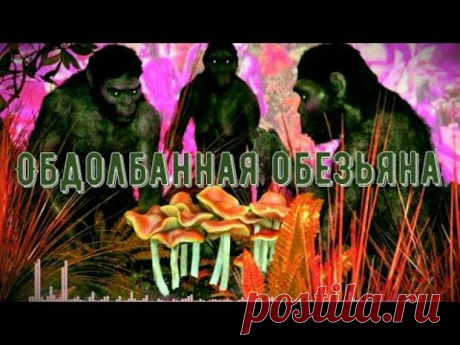 Теории эволюции, о которых вы, вероятно, не слышали - Эксклюзив - медиаплатформа МирТесен https://x-files Теории эволюции, о которых вы, вероятно, не слышали Существует несколько теорий эволюции. Теория эволюции путем естественного отбора Чарльза Дарвина, также называемая дарвинизмом, общепринята в науке. Другие ученые и философы выдвигали теории эволюции до рождения Дарвина и после его