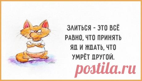 Одной фразой