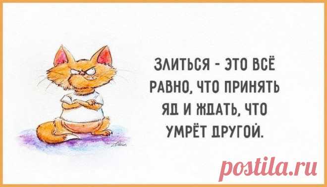 Одной фразой