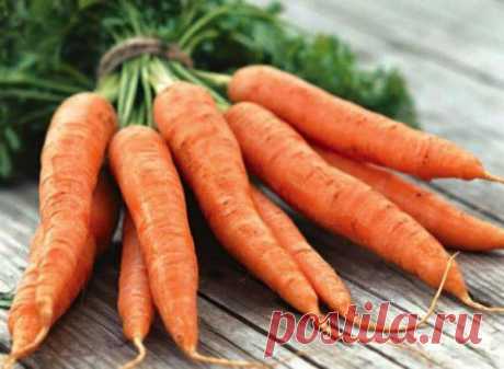 Заготовки из моркови / Простые рецепты