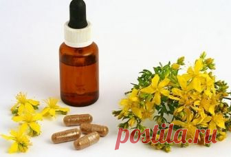 Чем полезен зверобой: полезные свойства и противопоказания, применение