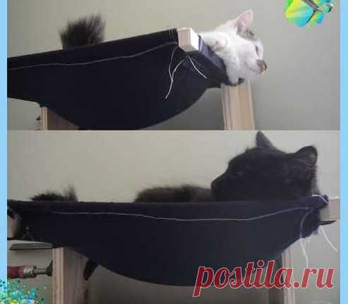 Самодельный гамак для кота