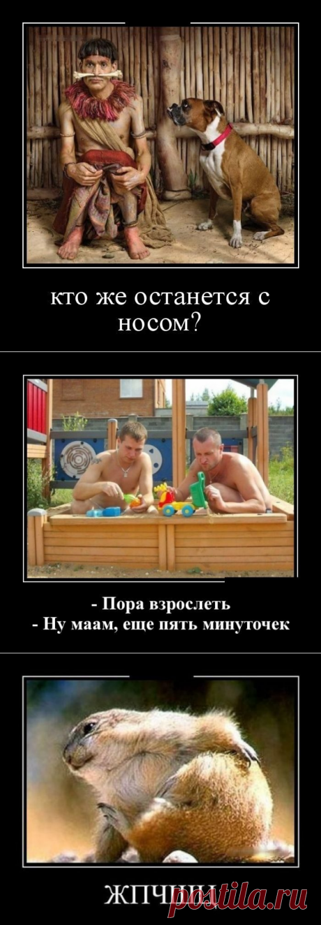 Смешные демотиваторы / Приколы