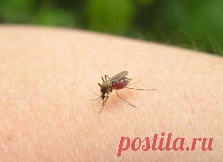 (46) Одноклассники