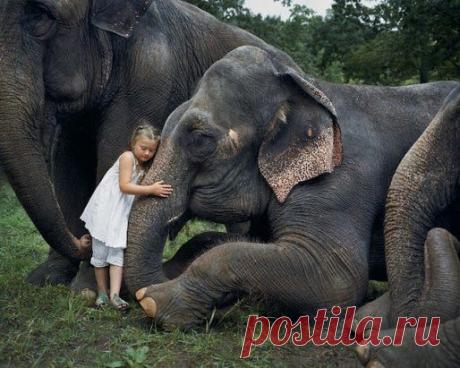 Одноклассники