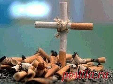 СМОТРЕТЬ И РАСПРОСТРАНЯТЬ! "СЕКРЕТЫ МАНИПУЛЯЦИИ. ТАБАК." (ВИДЕО, очень нужное и полезное) » Москва - Третий Рим