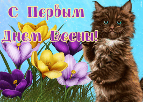 Открытка с первым днем весны с котиком | Открытки Онлайн