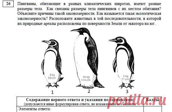 pIKWPjfbe6A.jpg (579×378)
