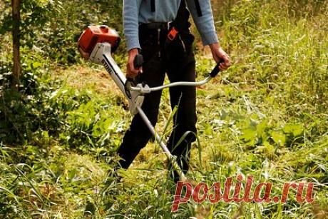 Мужчина хотел быстро покосить траву и случайно отрезал себе пенис. 39-летний житель Таиланда Прадисин Чуйпэд, косивший траву в леспораке, случайно отрезал себе пенис триммером. Чуйпэд хотел быстро закончить покос, поэтому использовал крупное металлическое лезвие, предназначенное для резки металла. Во время работы лезвие внезапно сорвалось и отскочило в паховую область мужчины.