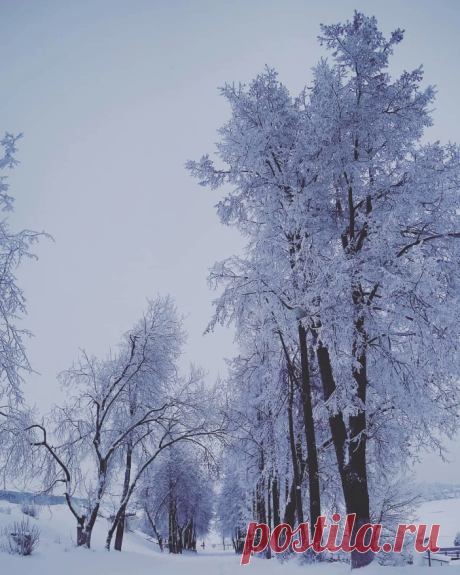 ЗИМА