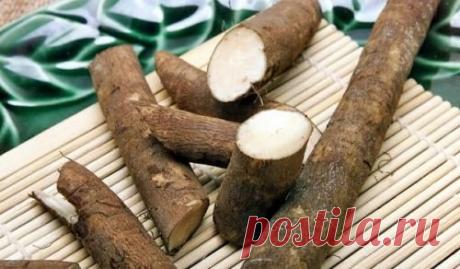 Корень лопуха (репейника) – мощный целитель