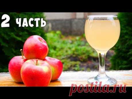 ВИНО из ЯБЛОК !!! Яблочное вино ПРОСТОЙ РЕЦЕПТ Часть 2