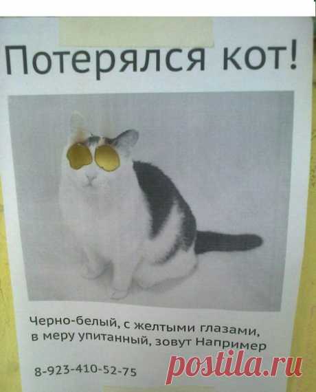 Весёлые картинки / Приколы