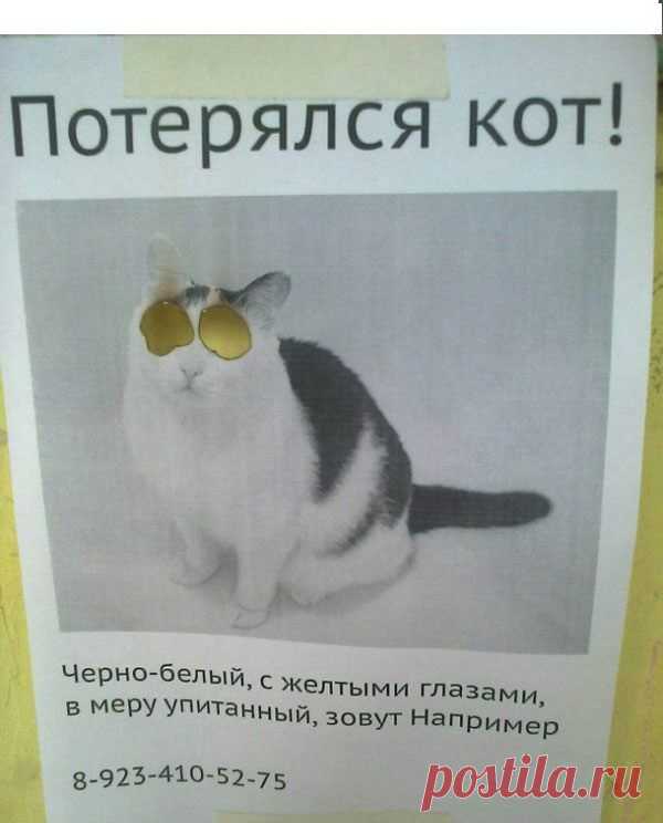 Весёлые картинки / Приколы