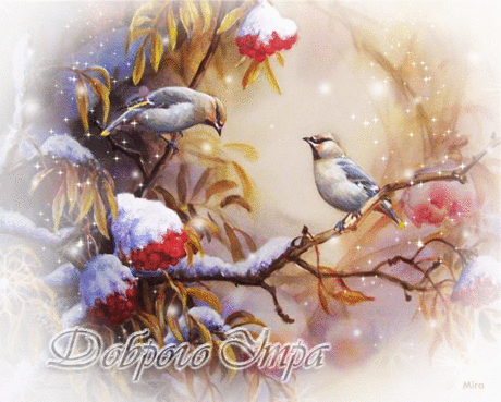 0_ac679_9b5cfe32_XL.gif (750×601)