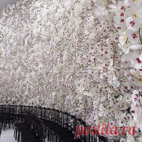 Одноклассники