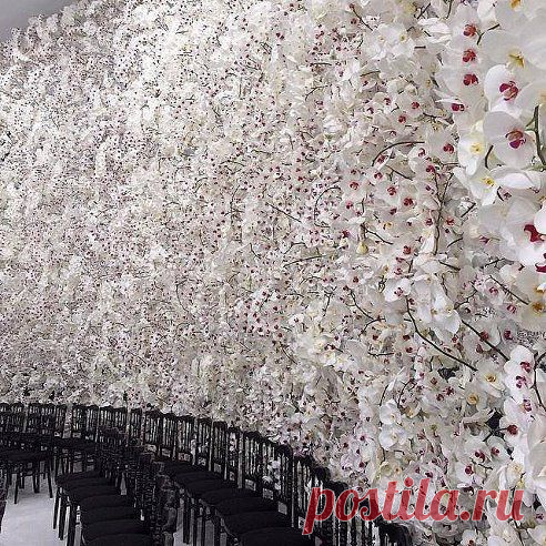 Одноклассники