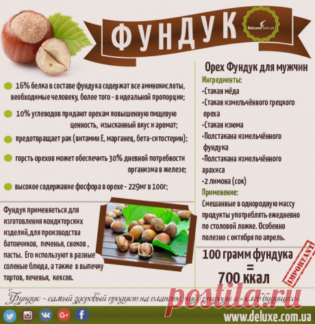 Фундук содержание цинка Женский портал: гороскопы, новости звезд, отношения, мода