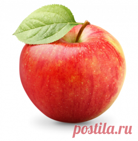 Инфракрасная сушилка для овощей, фруктов, грибов, ягод и трав — купить в интернет магазине Сушилочка рф