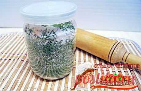 Как солить укроп, заготовка укропа на зиму