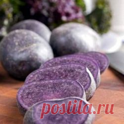 Семенной картофель в России | Интернет-магазин abekker.ru