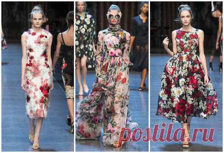 SS201631.jpg (Изображение JPEG, 1410 × 966 пикселов) - Масштабированное (51%)