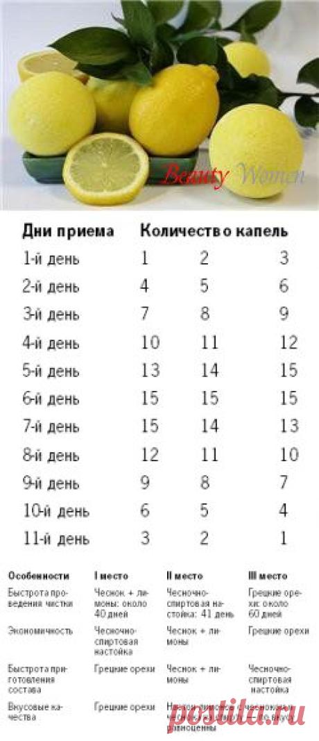 Очищение (чистка) сосудов от холестериновых бляшек народными средствами » - Beauty Women - Секреты здоровья и красоты современной женщины - Женский журнал