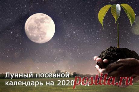 Посевной лунный календарь садовода и огородника на 2020 год | Good-Tips.PRO Лунный посевной календарь на 2020 год в таблицах. Органическое земледелие в соответствии с фазами Луны. Когда сажать рассаду