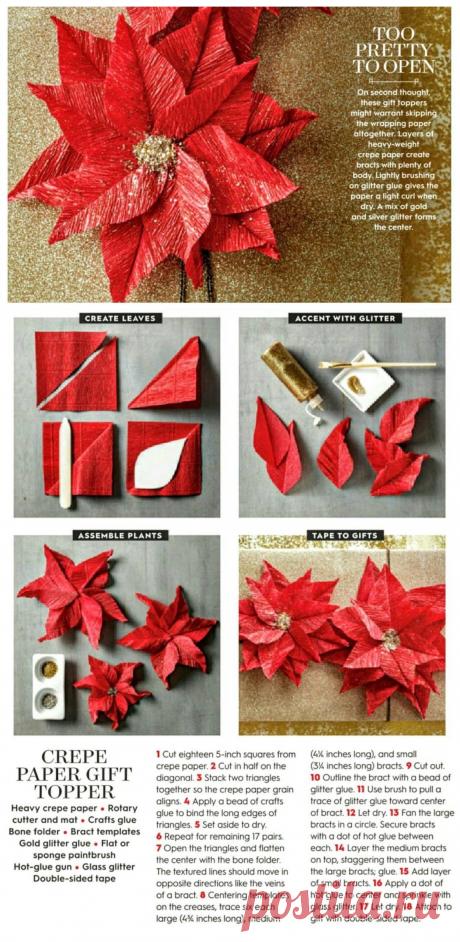 Рождественская звезда пуансеттия