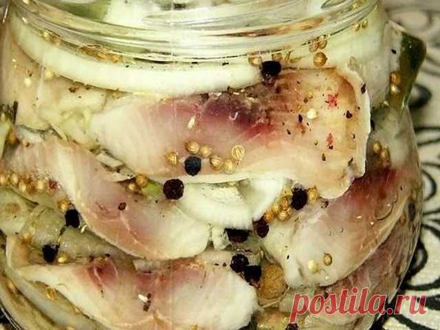 Исключительно вкусные котлеты: Вкусная и быстрая селедка в маринаде